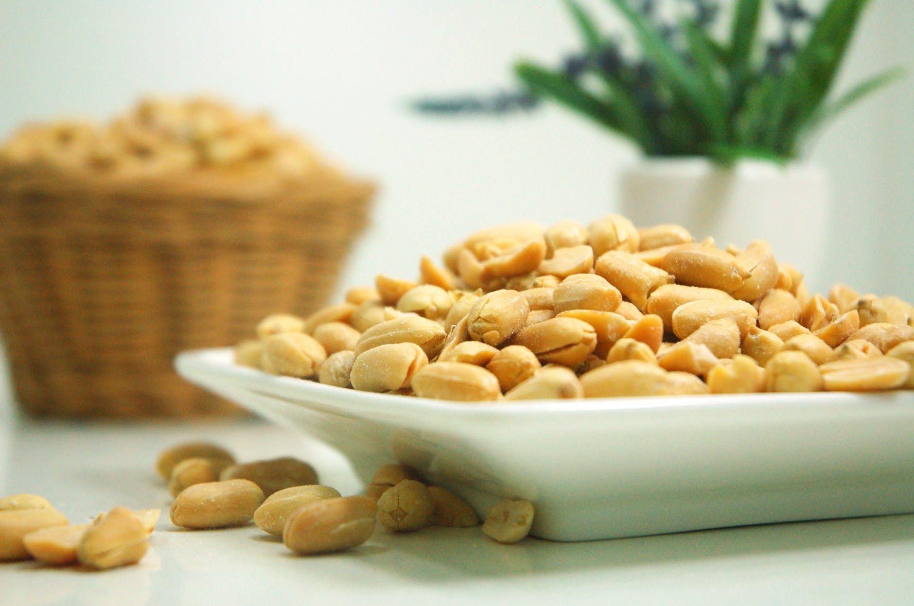 food plate nuts peanuts